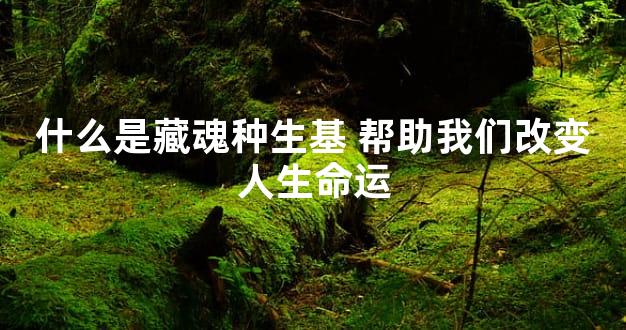 什么是藏魂种生基 帮助我们改变人生命运